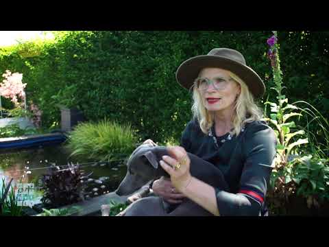 Genomineerden Victoriefonds Cultuurprijs Visuele Kunsten (29 augustus 2022)