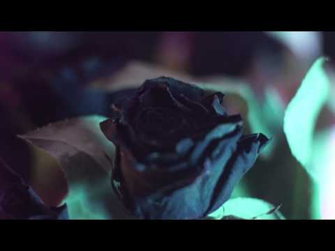 VIDEO PREMIERE: Sid Le Rock - Echo  Canyon [My Favorite Robot Records]