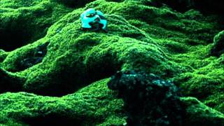 Mein Kumpel Spalding.wmv