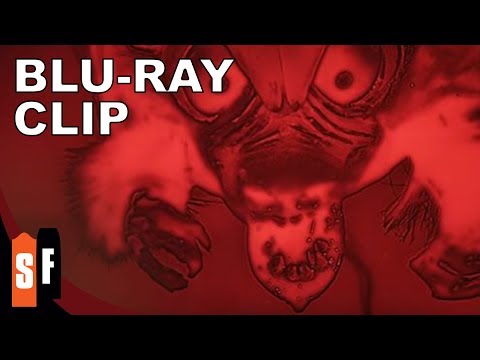 The Angry Red Planet (1959) - Clip 1: The Batratspidercrab (HD)