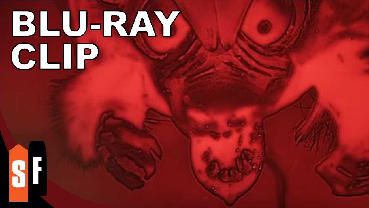 The Angry Red Planet (1959) - Clip 1: The Batratspidercrab (HD)