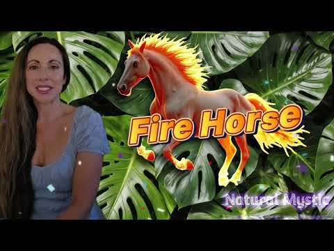 Happy NEW Year! 🎉 Fire Horse 🔥 🐎