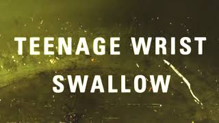 Swallow Music Video