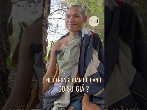 Nếu Trong Đoàn Bộ Hành Có Sư Giả