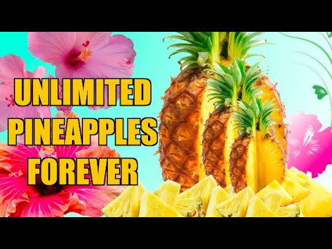 How to GROW A PINEAPPLE Plant on your first try. Works every time ! Video