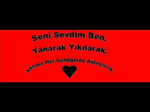 Seni Seviyorum Cansu.