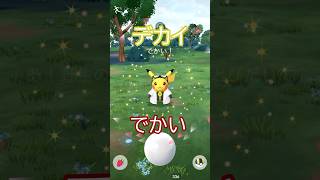⚠️ウィローピカチュウが登場🐭✨背景ガチャ開始🤔 #ポケモンgo #pokemongo #pokemongoshorts