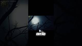 A criatura que a visão noturna filmou no mato!