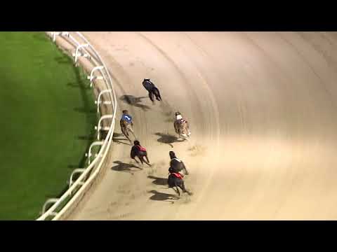 ECC TIMBER PUPPY DERBY - HEAT 7 - T4 MAGICAL BALE