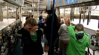 preview picture of video 'Een bezoek aan de melkboerderij te Haastrecht georganiseerd door de Zuivelstichting.'