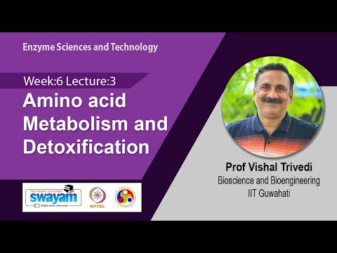 Enzyme Sciences and Technology Intro Video