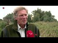 Staatsbosbeheer wil opheldering over konikpaarden in Spanje