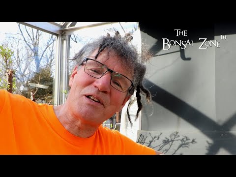 My Spring Greenhouse Tour, Part 1, The Bonsai Zone, April 2023
