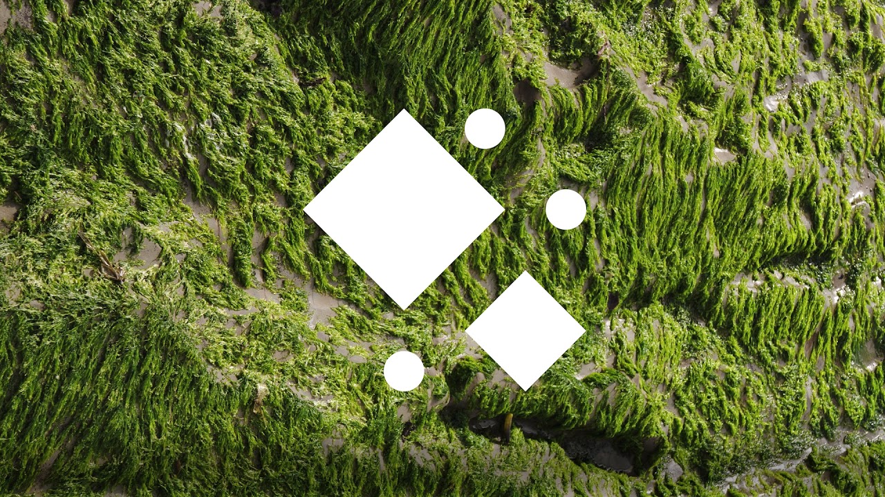 Baths - Yeoman