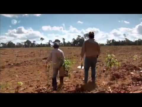 Aluminium - Die geheime Gefahr