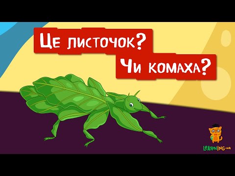 🍀 Дива природи. Явища навколо нас. Листотіли — листочки чи комахи? 🌏