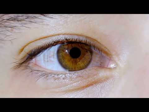 “HIT” OUT NOW EVERYWHERE