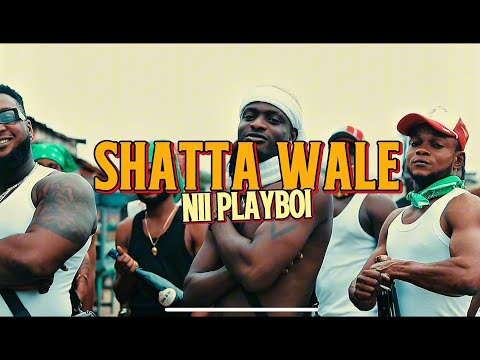 Nii Playboii - Shatta Wale  (Visualizer)