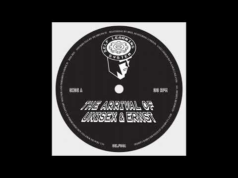 PREMIERE: Friedrich Ernst - Seismic Dreams [Self Learning System]