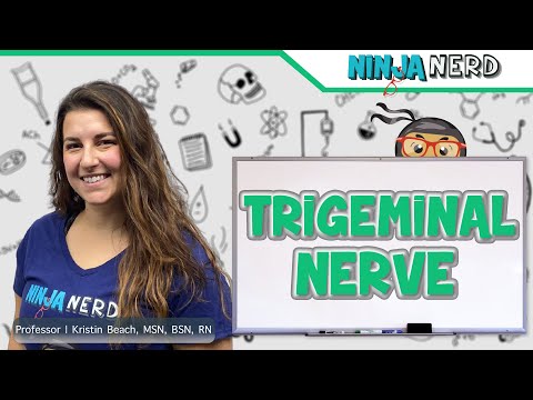 Trigeminal Nerve
