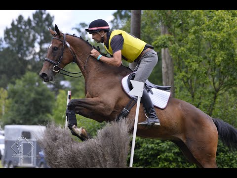 Nurmina W, Stadl-Paura, Geländeritt A