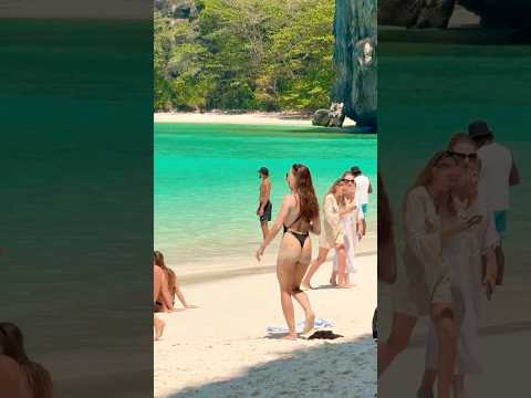 🇹🇭Maya Bay Dream Beach Thailand Summer Holiday 79🔥 #mayabeach #mayabay
