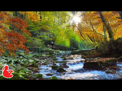 Native American Flute Music and Nature Sounds - Deep Sleep, Anxiety Relief, Meditation, Relaxation