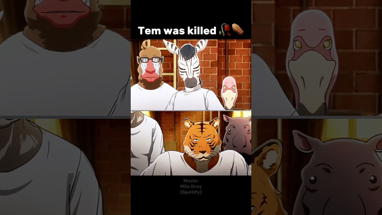 Legoshi's job to be a nutcracker 🥜 #anime #beastars