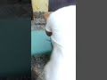 Shan Wahala Daga Kafada Da Ciwon Wuya
