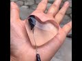 Half Life Heart