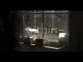 Oz S Lion Trailer