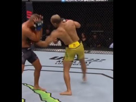 Devastating and accurate body shots  (UFC)