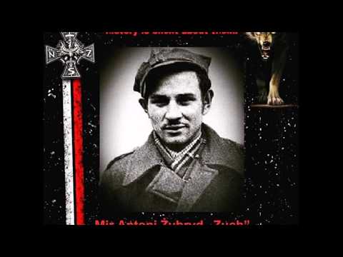 Andrzej Kołakowski - Ballada o Żubrydzie