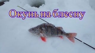 Блесна на окуня в глухозимье