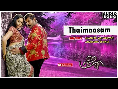 Majaa songs | Majaa video songs | Majaa | Thai Maasam Video song | Tamil Kuthu songs | Sindhu Tolani