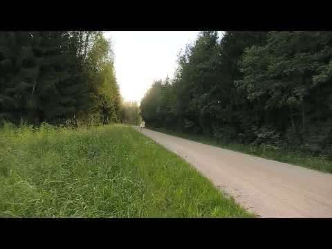 Flat out 200km/h Ott Tänak Hyundai WRC 2025 Dirtfish Estonia Pokumaa stage, before Finland.