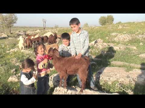 Benyamin Danho - Maryam