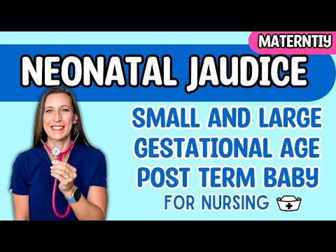 Newborn Conditions (SGA, Premature, LGA, Postterm, Neonatal Jaundice)