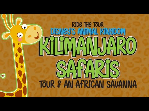 Really fun African Safari ride. Located at Disney's Animal Kingdom.#WaltDisneyWorld#Travel