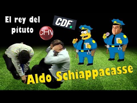 El Ejercicio que permito a Schiappacasse Titularse - Bonvallet