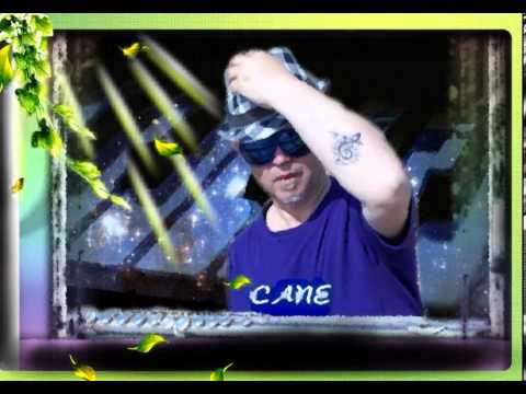 CANE NIKOLOVSKI - ŽALI GORO ŽALI SESTRO