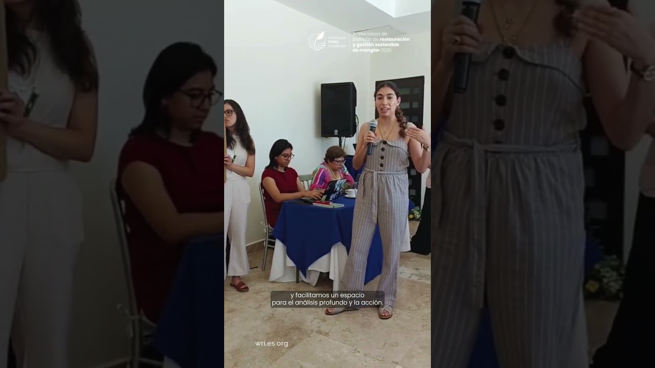 Aceleradora de Políticas de Restauración y Gestión Sostenible de Manglar