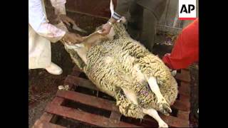 FRANCE: PARIS: MUSLIMS CELEBRATE EID AL ADHA FESTIVAL