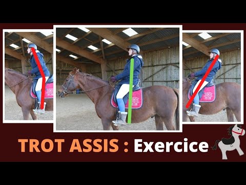 Improving your sitting trot: TIP