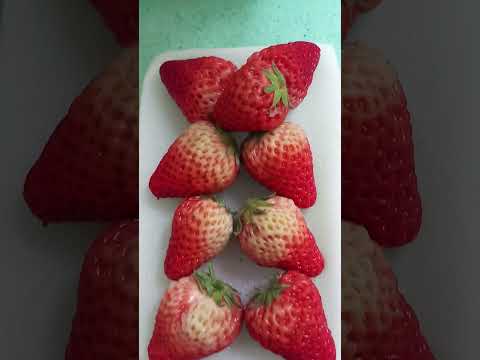 sweet strawberry #fruit #youtubeshorts #satisfying
