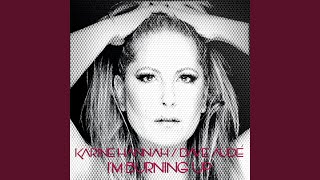 I&#39;m Burning Up (Big Kid Remix)