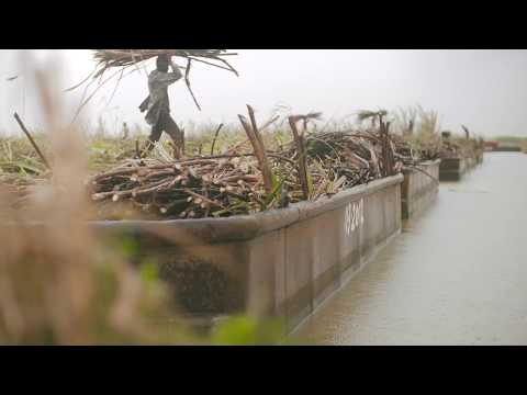 Rum EL DORADO 12YO Finest DEMERARA in Cutie Cadou video