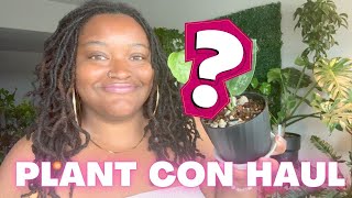 My Rare Plant Con Haul! + Repotting in semi hydro and soilless mix
