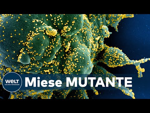 TESTEN UND VERFOLGEN: Virologe Prof. Weber - "Lockdown offenbar unvermeidlich"| WELT Interview