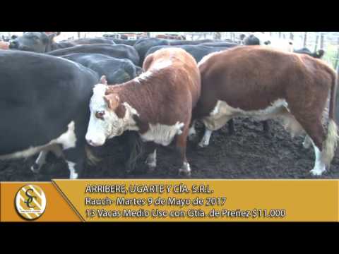 09-05-17 Venta de Vientres - Arribere, Ugarte y Cía. S.R.L. - Rauch